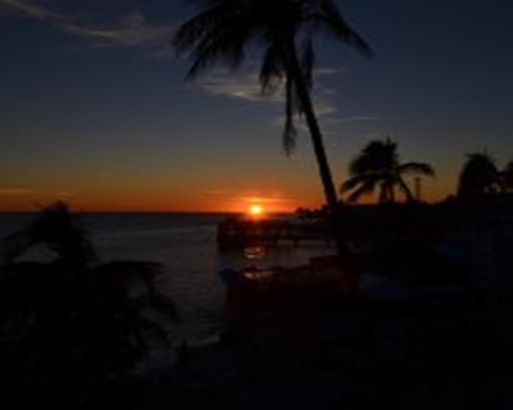 Coconut Beach Resort Key West Dış mekan fotoğraf